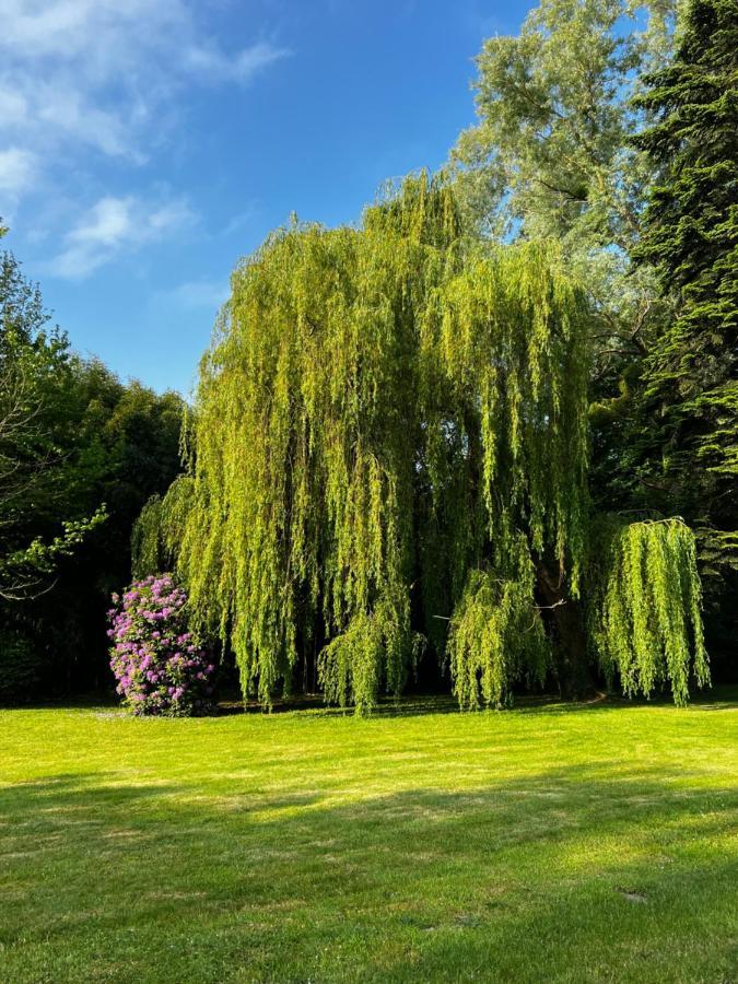 Le Clos De Lily Coudray-Rabut ภายนอก รูปภาพ